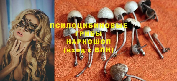 индика Балахна