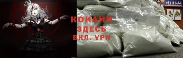индика Балахна