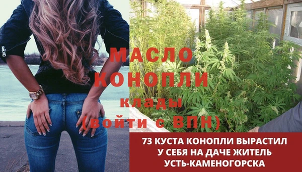 индика Балахна