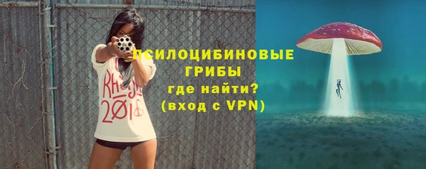 индика Балахна